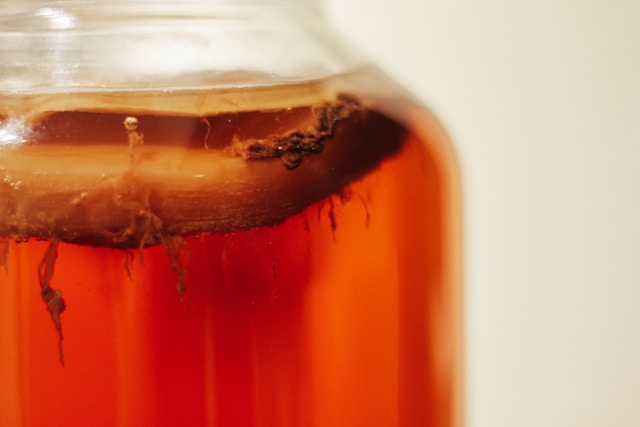 Kombucha – módní trend nebo hit zdravého těla?